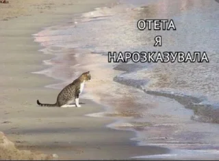 😵‍💫 emoji Русня хуйня Telegram sticker 23 of 120
