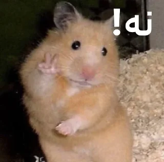 Sticker from ممد کوچولو ها🐹
