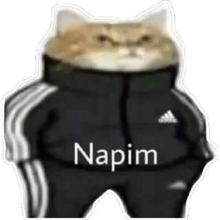 Sticker from Stickers