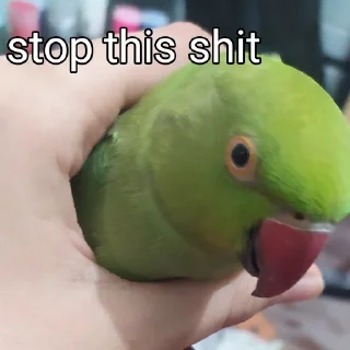 😑 emoji Tutu The Third🦜 Telegram sticker 7 of 119