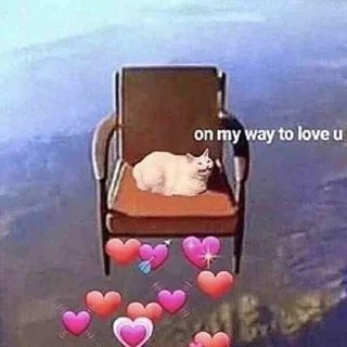 Sticker from Wholesome Cats