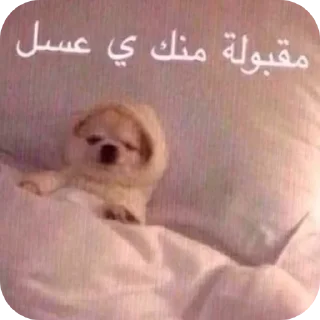 🤲 emoji أبو نايف (@C82la) :: Telegram sticker 15 of 75
