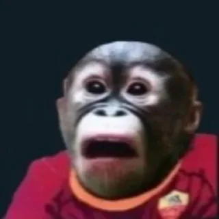 🐵 emoji A.S.Corropolesi 1927 Telegram sticker 24 of 33