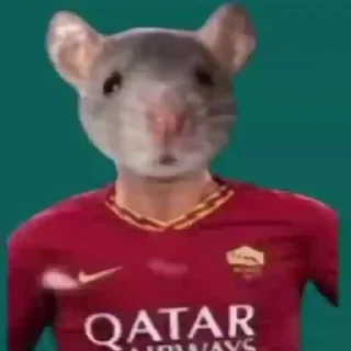 🐁 emoji A.S.Corropolesi 1927 Telegram sticker 23 of 33