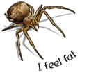 🤢 emoji Handsome Spider @StickersMM Telegram sticker 7 of 41