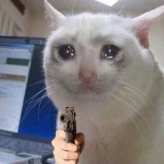 🔫 emoji Sad cat memes Telegram sticker 5 of 28