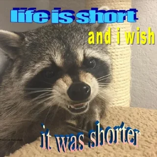 😞 emoji Sad racoons Telegram sticker 14 of 42
