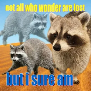 😳 emoji Sad racoons Telegram sticker 7 of 42