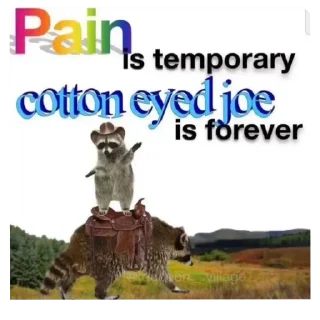🗿 emoji Sad racoons Telegram sticker 17 of 42