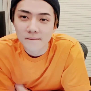 Sticker from Sehun       @packsmee