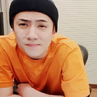 💿 emoji Sehun       @packsmee Telegram sticker 9 of 54