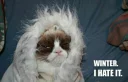 ❄ emoji Grumpy cat😻🖕🏿 by@Queenmalik Telegram sticker 22 of 36