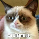 😍 emoji Grumpy cat😻🖕🏿 by@Queenmalik Telegram sticker 3 of 36