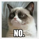 😐 emoji Grumpy cat😻🖕🏿 by@Queenmalik Telegram sticker 14 of 36