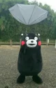🌂 emoji Kumamon by @Torton Telegram sticker 19 of 79