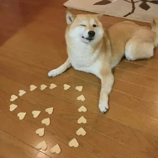 ❤️ emoji Shiba Inu | @mohammadtot Telegram sticker 23 of 96