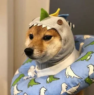 ☘ emoji Shiba inu | @M4eHDi Telegram sticker 9 of 34
