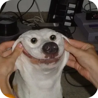 🐶 emoji Стикеры стаса Telegram sticker 8 of 15
