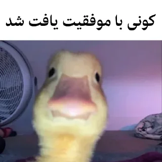🐤 emoji @wicvio | اردک سخنگو Telegram sticker 24 of 38