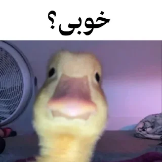 Sticker from @wicvio | اردک سخنگو