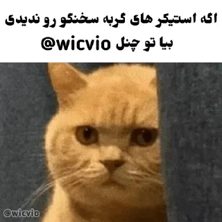Sticker from @wicvio | اردک سخنگو