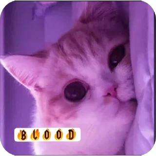 🐱 emoji Gabriele e Blood ♥️♥️♥️ Telegram sticker 10 of 19