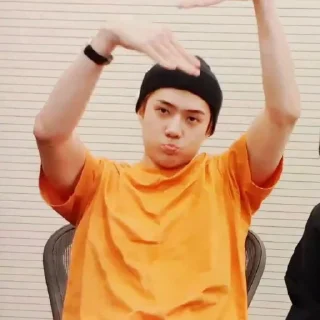 💿 emoji Sehun       @packsmee Telegram sticker 10 of 54