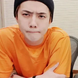 💿 emoji Sehun       @packsmee Telegram sticker 20 of 54
