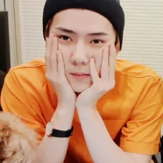 💿 emoji Sehun       @packsmee Telegram sticker 14 of 54