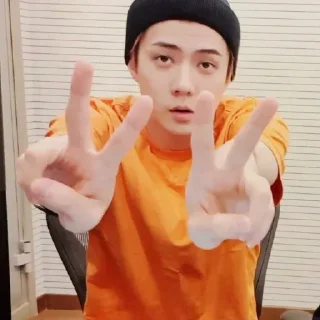 💿 emoji Sehun       @packsmee Telegram sticker 18 of 54