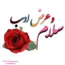 🙏 emoji 🌺بگو بخند (چورزق)🌺 Telegram sticker 8 of 111