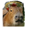 😅 emoji Capybara Telegram sticker 5 of 13