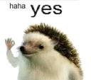 Sticker from gay