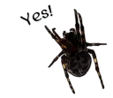 👍 emoji Handsome Spider @StickersMM Telegram sticker 21 of 41