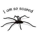 😵 emoji Handsome Spider @StickersMM Telegram sticker 20 of 41