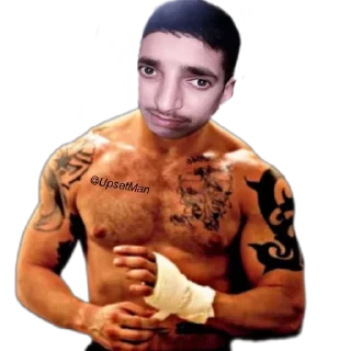 🎪 emoji Navid @UpsetMan Telegram sticker 17 of 87