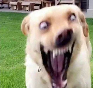 🐶 emoji Suck Telegram sticker 5 of 37