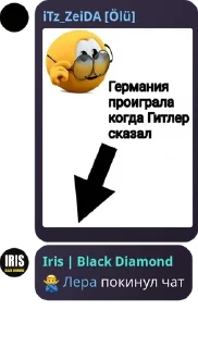 Sticker from ёкарный бабаикс🎀