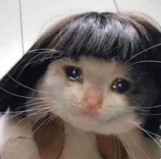 🥺 emoji درباره تو Telegram sticker 8 of 119