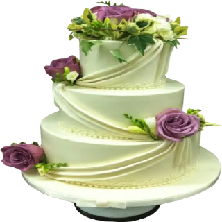 🎂 emoji @Sticker1_Gif    کیک Telegram sticker 22 of 120