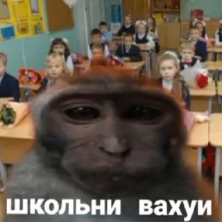 Sticker from вахуи