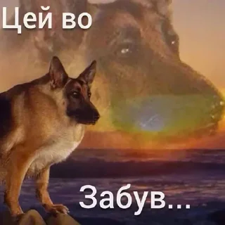 🙈 emoji Опездол іванович Telegram sticker 14 of 32