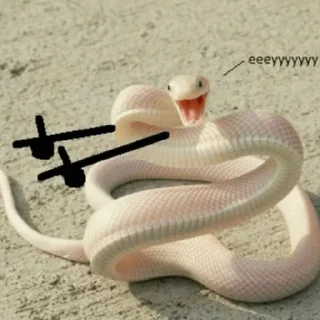 🐍 emoji Snake🐍 @ding_off Telegram sticker 15 of 45