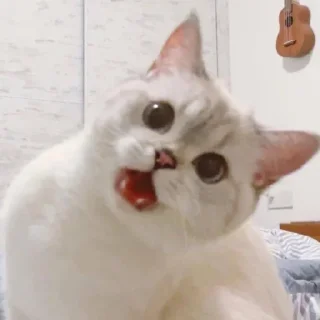 🤔 emoji 冬's Sticker Pack Telegram sticker 21 of 120