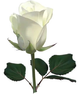 🌺 emoji ورود ٣ Telegram sticker 11 of 120
