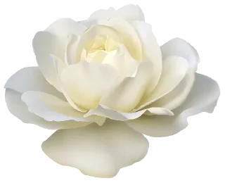 🌺 emoji ورود ٣ Telegram sticker 9 of 120