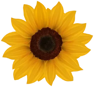 🌼 emoji ورود ٣ Telegram sticker 18 of 120