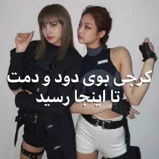 😶 emoji @kossherpacks ایرانی خر Telegram sticker 17 of 99