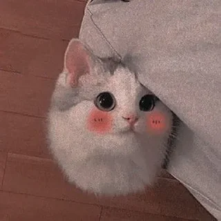 😊 emoji Cute kittens Telegram sticker 18 of 35