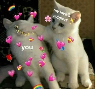 😍 emoji Cute kittens Telegram sticker 7 of 35